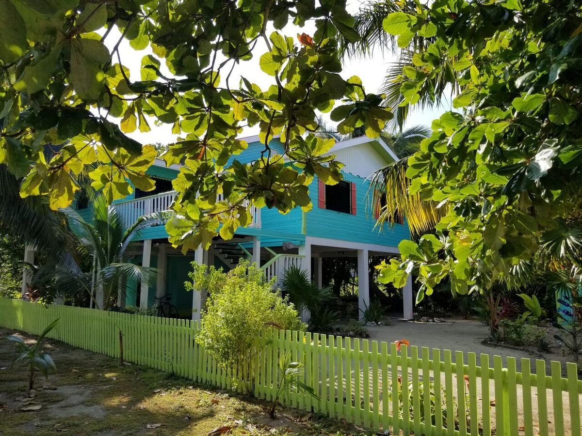 The Bottle Tree House Villa Caye Caulker Kültér fotó